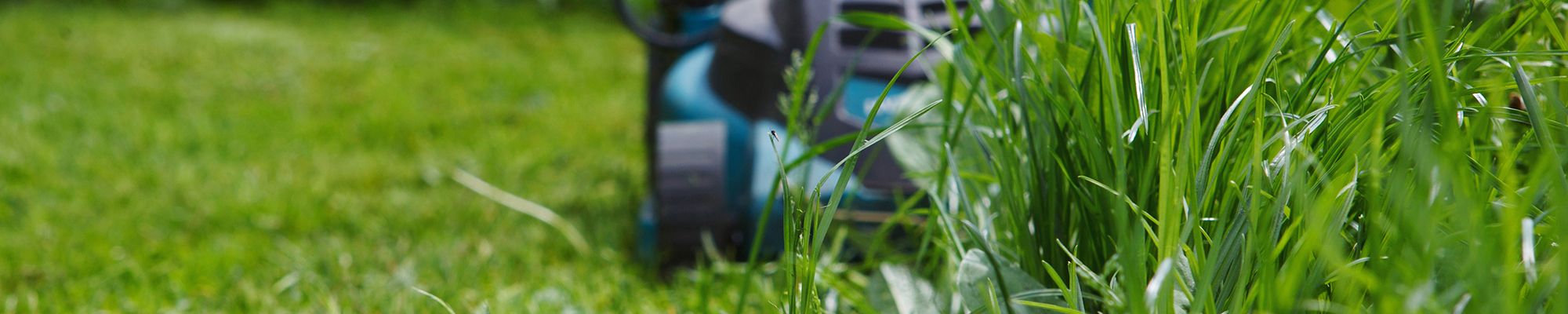 Garden Clearance Services